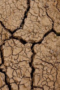 Dry II (fénykép) alkotó: Unbekannter Künstler