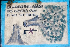 Környezetvédelem; festett jel; „”” Ne vágj fát””””” kivágott fát és áthúzott fejszét ábrázol; Nuwara Eliya; Sri Lanka; Ázsia alkotó: Unbekannt