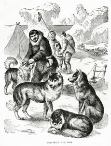 Esquimaux és a kutyák. 1902 (litó) alkotó: Unbekannt