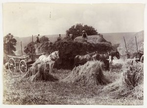 Gazdálkodási jelenetek, betakarítás és tárolás, 1900 előtti betakarítás, c 1890 alkotó: Unbekannt