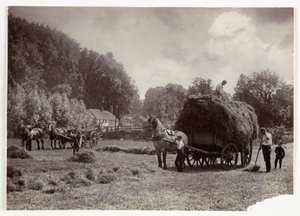 Gazdálkodási jelenetek, betakarítás és tárolás, 1900 előtti szénakészítés, c 1890 alkotó: Unbekannt