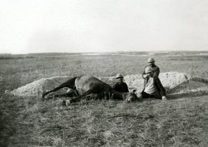 Első világháború 14-18 (1914-1918): három francia katona eltemet egy halott lovat - fénykép üveglapon - alkotó: Unbekannter Künstler