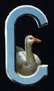 G, mint a Goose. Bogár decoupis állatok témában. Metszés. 26 angol eredetű gofri kromolitográfiát tartalmazó sorozat. Szerkesztő és illusztrátor ismeretlen. század vége. Mérete: 5,5x3,5 cm alkotó: Unbekannt