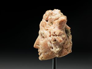 Medúza feje, Baktriából vagy Gandharából, Kr.e. 2-1. század (rózsaszín korall) alkotó: Unbekannt