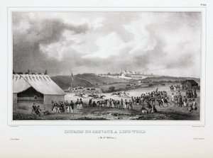 Lóverseny Longwoodban, Saint Helena államban alkotó: Unbekannt