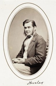 Huxley, 1865 alkotó: Unbekannt