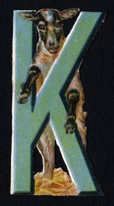 K mint Karakul . Bogár decoupis állatok témában. Metszés. 26 angol eredetű gofri kromolitográfiát tartalmazó sorozat. Szerkesztő és illusztrátor ismeretlen. század vége. Mérete: 5,5x3,5 cm alkotó: Unbekannt