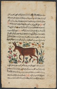 Egyéb (lelet), egy nezhantami dobásból (kiváló könyv arról, hogy megérkezünk) Shahmarda Ibn Abi al-Khairtól alkotó: Unbekannt