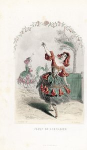 La fee de la fleur de grenade danse - Charles Geoffroy (1819-1882) metszete, Jean Ignace Isidore Gerard dit J.J.J.J.Granville (1803-1847) illusztrációja alapján, Les fleurs animees című kötetéhez. alkotó: Unbekannter Künstler