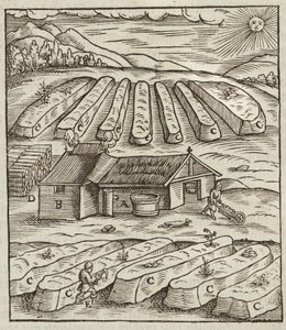 A salétrom készítése – Lazarus Ecker vésése: Description des ores et des main method de exploitation miniere alkotó: Unbekannt