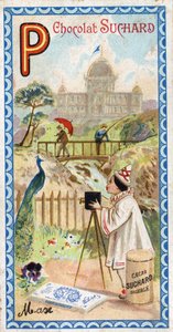 P betű: palota, pavilon, esernyő, fotós, híd, horgászat, páva, pensee. Az ábécé metszetét Chocolat Suchard szerkesztette, a XX. század eleje. 24 kromolitográfia, amelyek a felfedezendő helyeket, karaktereket és tárgyakat ábrázolják alkotó: Unbekannt