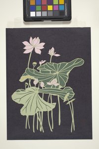 Lotus (többszínű vágott papír) alkotó: Unbekannter Künstler