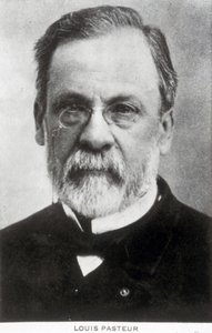 Louis Pasteur, francia kémikus és mikrobiológus, 1885 körül alkotó: Unbekannter Künstler