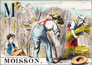 M Moisson - "A farm ábécéje" 19. század vége (metszet) alkotó: Unbekannt