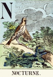 N: Nocturne – A vadászábécé, 1890 körül (metszet) alkotó: Unbekannt