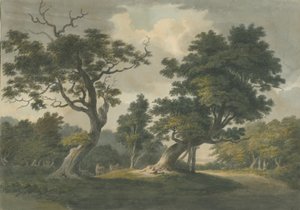 Needwood Forest: akvarell festészet, és [19. század eleje] alkotó: Unbekannt