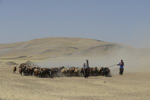 Nomád sátrak Tamar és Ashkhaneh között, Irán 2022 (fényképezés) alkotó: Unbekannter Künstler