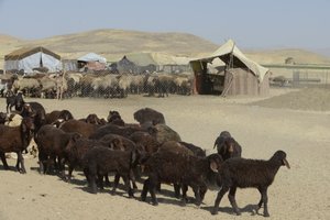 Nomád sátrak Tamar és Ashkhaneh között, Irán 2022 (fényképezés) alkotó: Unbekannter Künstler