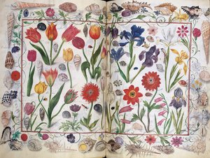 Lapok Philipp Hainhofer, 1596-1633 Amicorum albumából alkotó: Unbekannt