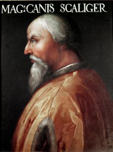 Verona urának portréja, Can Francesco della Scala Cangrande I (1291-1329) Anonymous festmény. Uffizi Galéria (Irodák), Jovian Gyűjtemény alkotó: Unbekannter Künstler