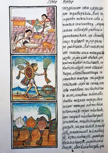 Tollak feldolgozása, nahuati nyelvű szöveg, Bernardino de Sahagun Új-Spanyolország dolgainak általános története, más néven Firenzei Kódex című kéziratának fakszimiléjéből alkotó: William M. Timlin