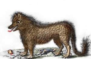 Gevaudan bestiájának ábrázolása, lábai körül áldozatainak csontjai szétszórva. 1764 körüli metszet (A Gevaudan bestiája egy 1764-es ábrázoláson) Magántulajdonú gyűjtemény