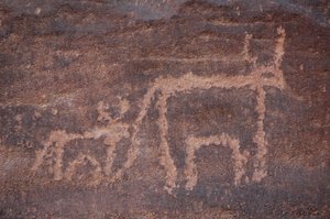 Sziklaművészet, Őstörténet: Egy tehén és borjú metszete az Uweinat-hegységben, Egyiptom. (Kr.e. 8000-3000 év közötti időszak). Fényképezés alkotó: Unbekannt