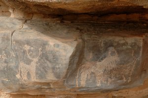 Sziklaművészet, Őstörténet: Három szarvasmarha metszete a szudáni Uweinat-hegységben (Karkur-Talh vagy Karkur Talh). 8000-3000 év közötti időszak. Fényképezés alkotó: Unbekannt