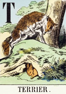 T: Terrier – A vadászábécé, 1890 körül (metszet) alkotó: Unbekannt