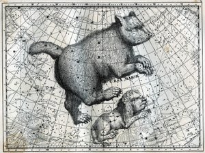 A boreális csillagképek: a nagy medve és a kis oroszlán. Metszet Camille Flammarion „Az ég csillagai és egyéb érdekességei” című művéből alkotó: Unbekannt
