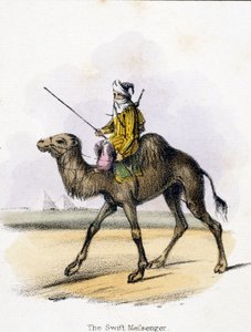 The Swift Messenger, 1845 alkotó: Unbekannter Künstler