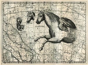 A Pegase csillagkép úgy rajzolódik ki, mint egy pár szárnyú ló elülső fele, a Kis Ló, egy lófej és a delfin. Metszet a „Les étoiles et les autres curiosites du ciel” című könyvéből, Camille Flammarion alkotó: Unbekannt