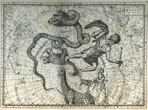 Az Északi-sark közeli csillagképei: Kis Medve, Sárkány, Cephee, Zsiráf, Rénszarvas és Messier. Metszet Camille Flammarion „Az ég csillagai és egyéb érdekességei” című művéből alkotó: Unbekannt