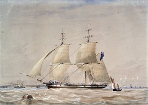 A HMS 