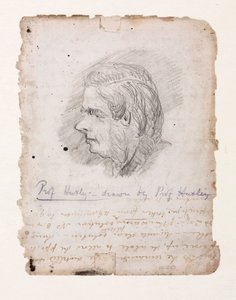 Thomas Henry Huxley, angol biológus, 19. század közepe-vége alkotó: Unbekannt