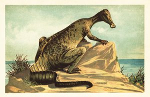 Trachodon mirabilis, kihalt hadrosaurad dinoszaurusz.1908 (litográfia) alkotó: Unbekannter Künstler