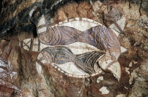 Teknős, sziklafestés, Arnhem Land, Northern Territory, Ausztrália, bennszülött kultúra