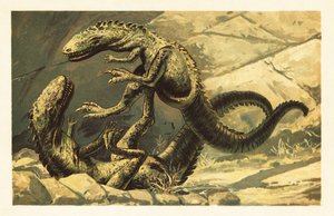 Két küzdő Dryptosaurus aquilunguis.1908 (litográfia) alkotó: Unbekannter Künstler