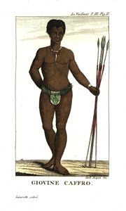 Fiatal szan férfi, lándzsákkal, Dél-Afrika. Francois Le Vaillant-tól (Levaillant alkotó: Unbekannter Künstler