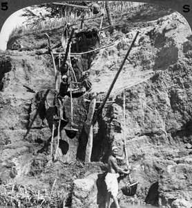 Egy egyiptomi shaduf, aki a Nílus vizét a szomjas mezőkre emeli, Egyiptom, 1905.