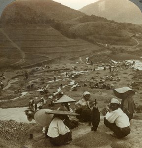 Meder kotrása rubinokért, Mogok, Burma, 1900-as évek. alkotó: Underwood and Underwood