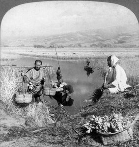 Men gathering rushes near Suzukawa, Fujiyama, Japan, 1904. alkotó: Underwood and Underwood
