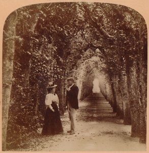 Queen Marys Bower, Hampton Court, London, Anglia, 1896. alkotó: Underwood and Underwood