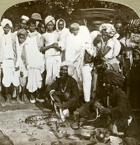 Kígyóbűvölő, Kalkutta, India, 1900-as évek. alkotó: Underwood and Underwood