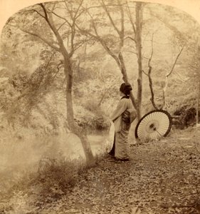Az ősz arany napjai Japánban, 1896. alkotó: Underwood and Underwood