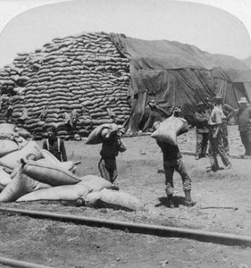 Sok tonnányi zab Tommy hű barátjának, De Aarnak, Dél-Afrika, búr háború, 1900. alkotó: Underwood and Underwood