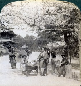 A cseresznyevirágok alatt, északkeletre nézve a Shiba Park fő sugárútja mentén, Tokió, Japán, 1904 alkotó: Underwood and Underwood