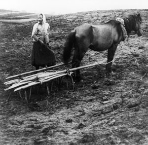 Egy parasztasszony lóval talajt művel egy farmon a Volga menti Voronovo faluban, a forradalom előtti Oroszországban, 1900. alkotó: Unknown