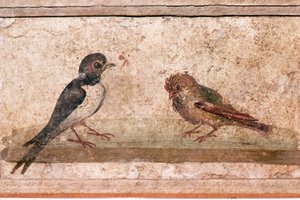 Fecske és veréb, római falfestmény a Pompeii melletti Boscoreale-ből, 1. század alkotó: Unknown