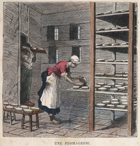 Egy sajtgyár. 19. századi illusztráció. Bianchetti kollekció. alkotó: Unknown artist